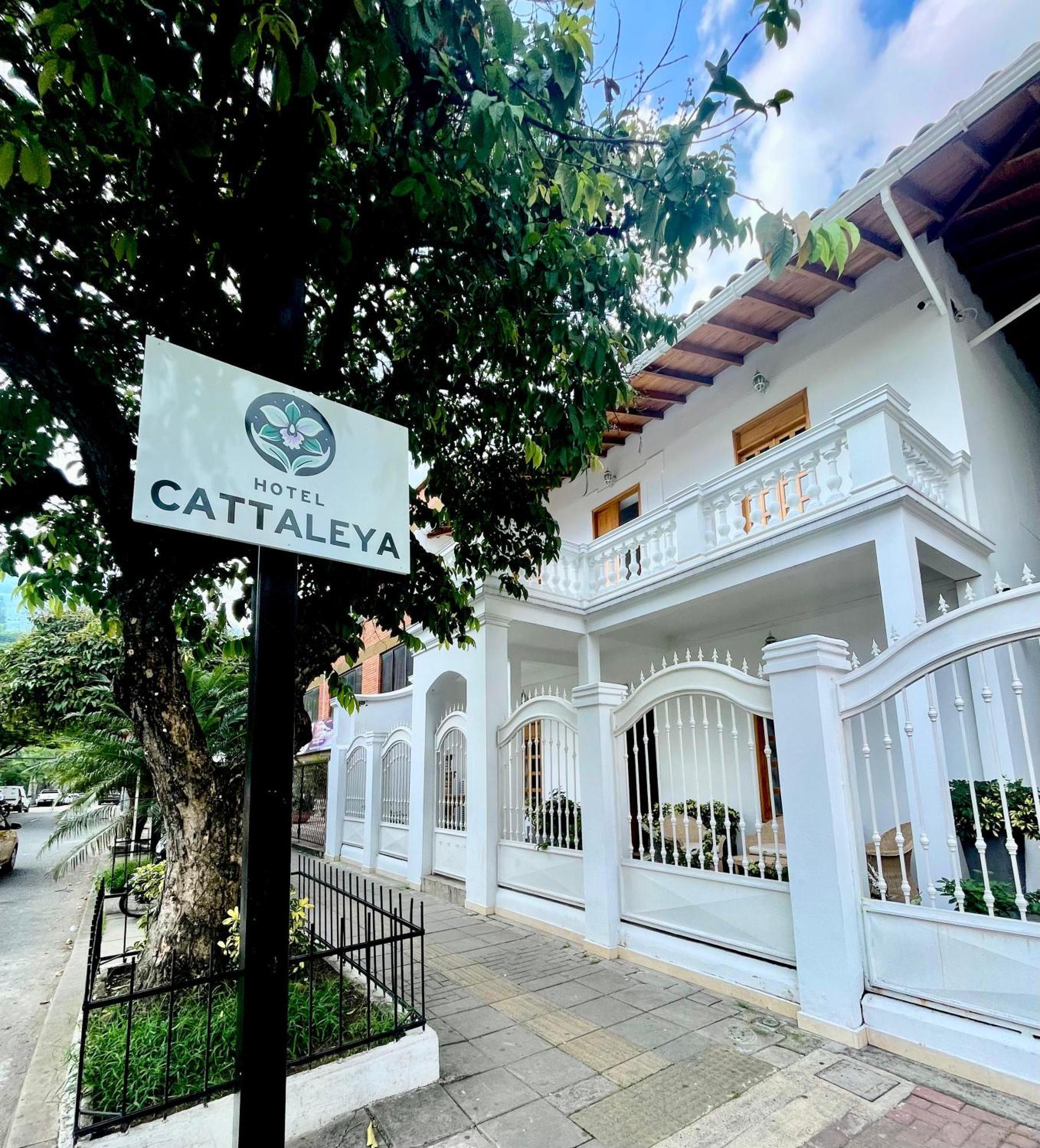 Hotel Cattaleya City Cali Esterno foto